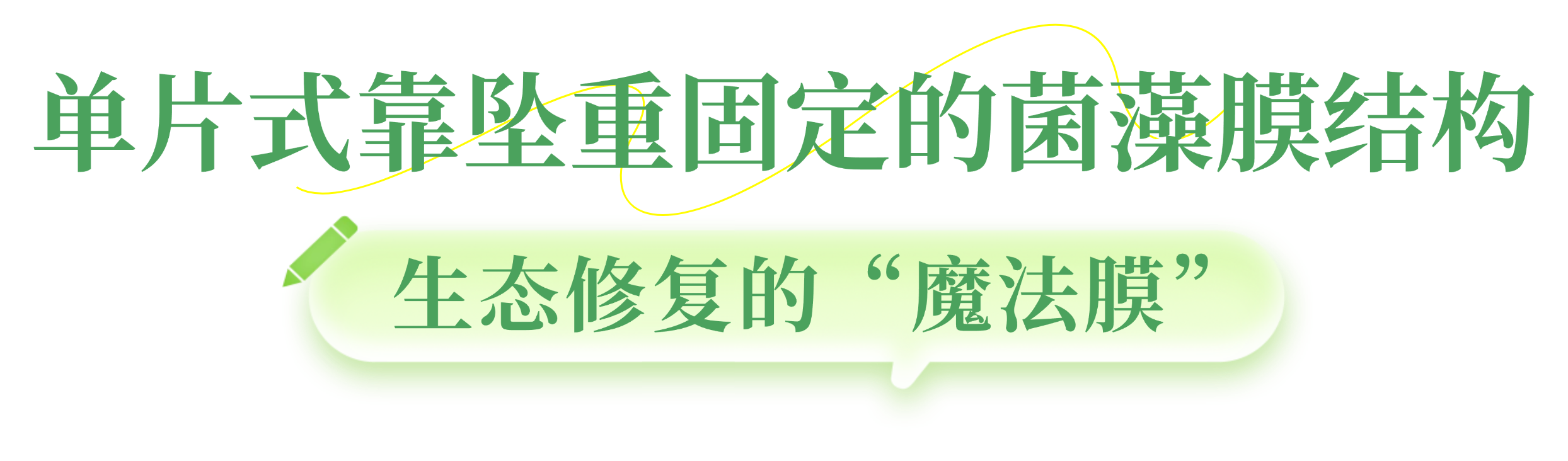 03.png