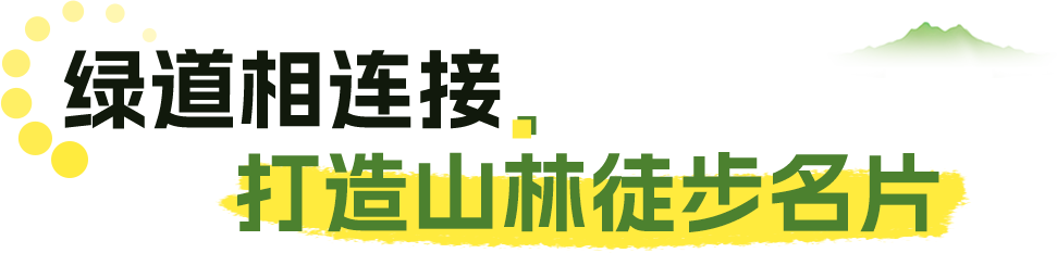 15.png